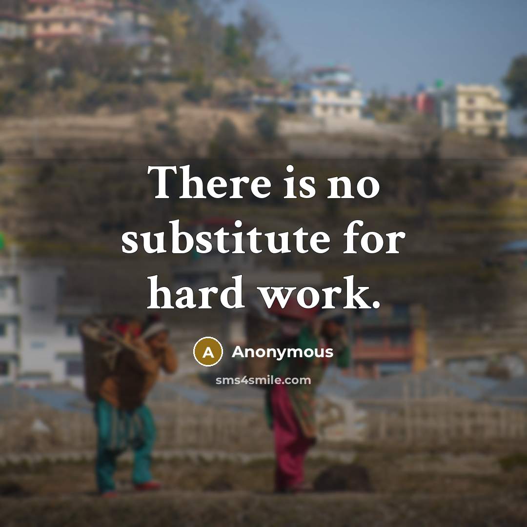 “There is no substitute for hard work.” quote by Anonymous