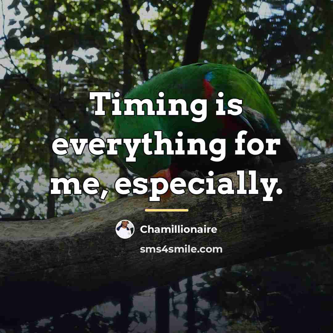 “Timing is everything for me, especially.…” quote by Chamillionaire