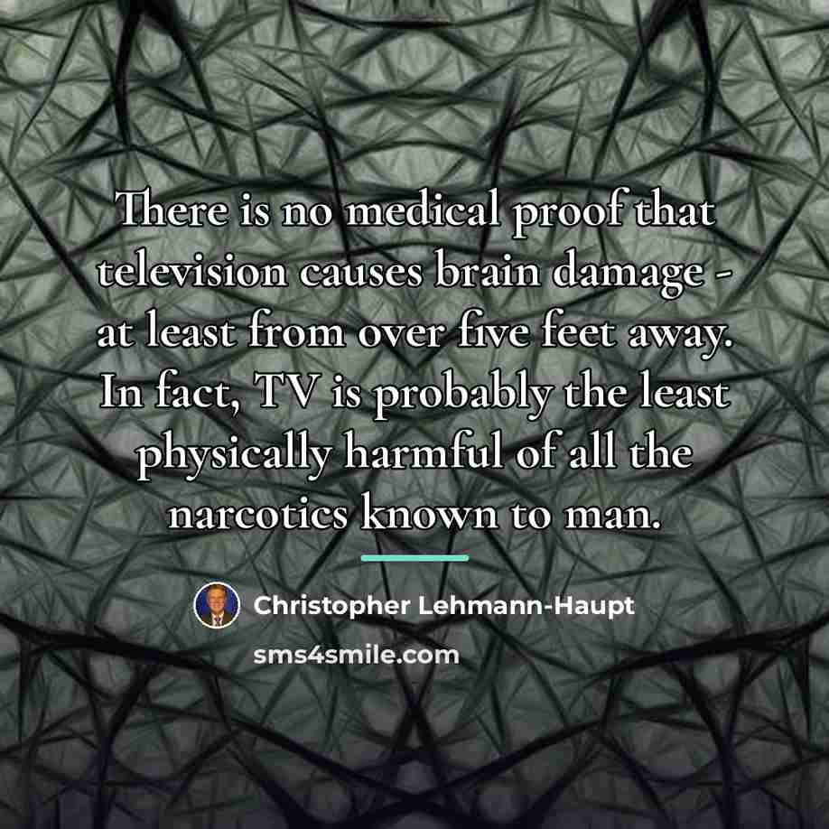 “There is no medical proof that television causes brain damage…” quote by Christopher Lehmann-Haupt