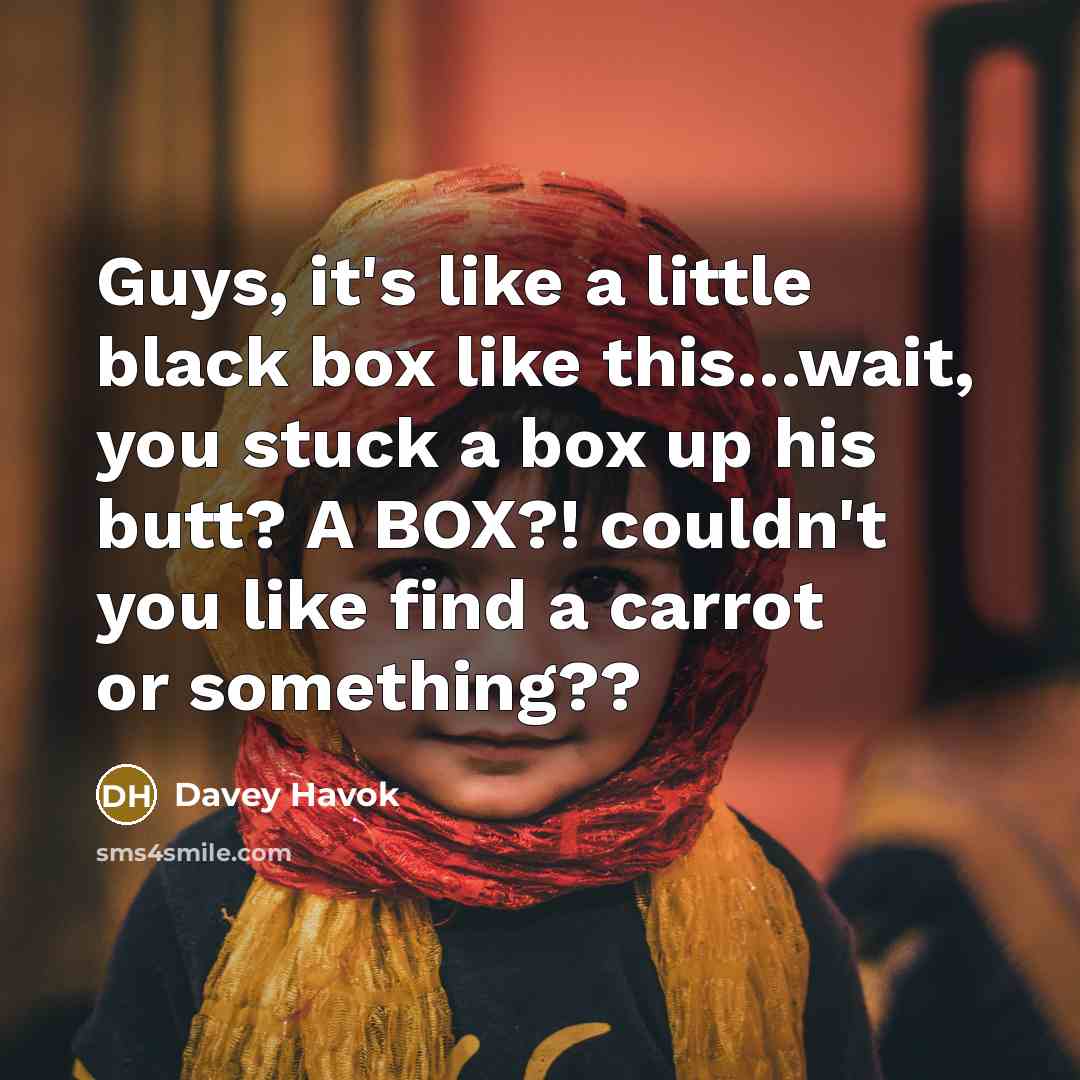 “Guys, it's like a little black box like this....wait, you…” quote by Davey Havok