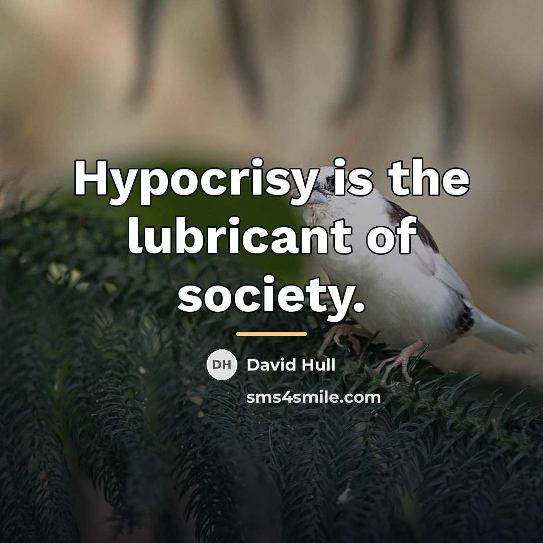 “Hypocrisy is the lubricant of society.…” quote by David Hull