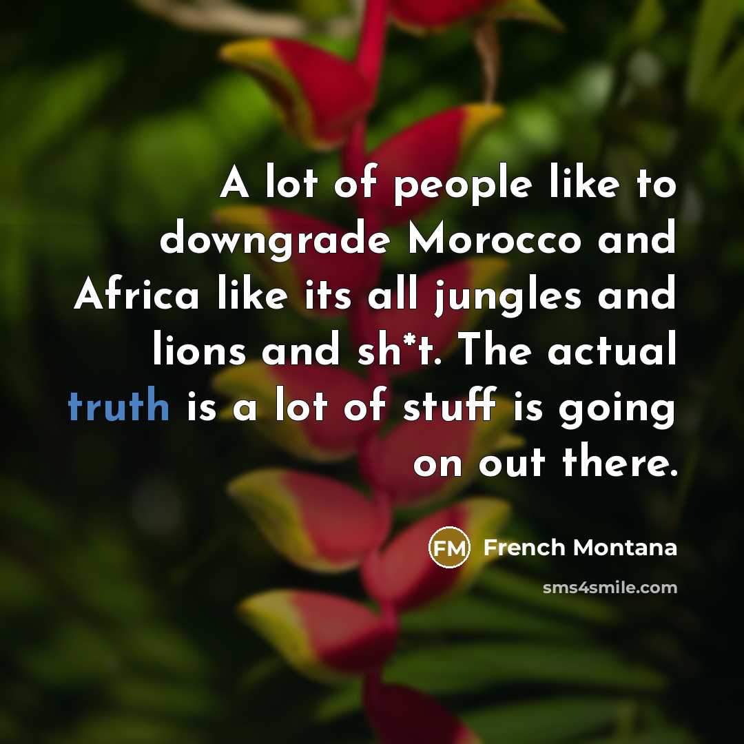 “A lot of people like to downgrade Morocco and Africa…” quote by French Montana