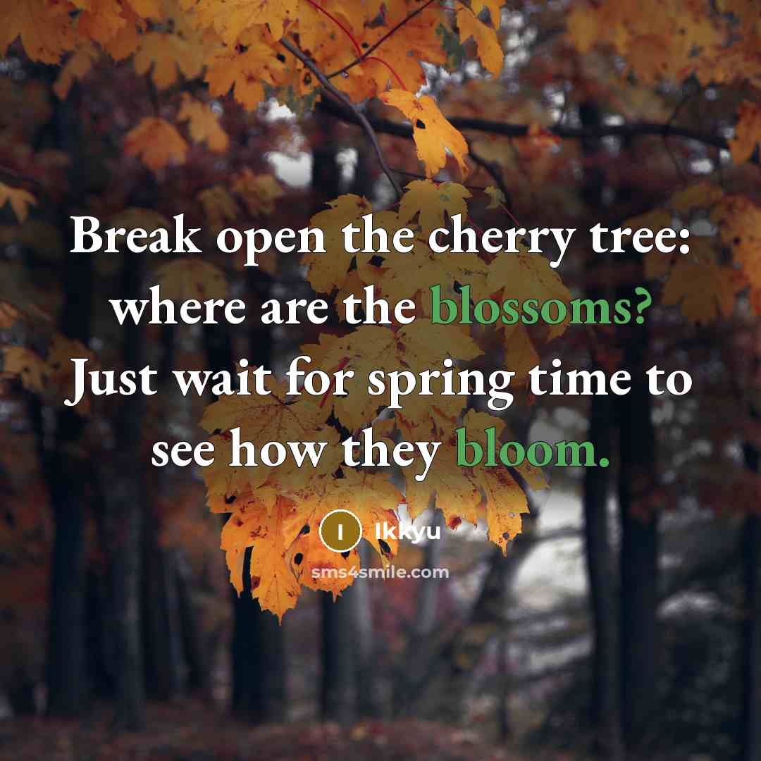 “Break open the cherry tree: where are the blossoms? Just wait for spring time to see how they bloom.” quote by Ikkyu