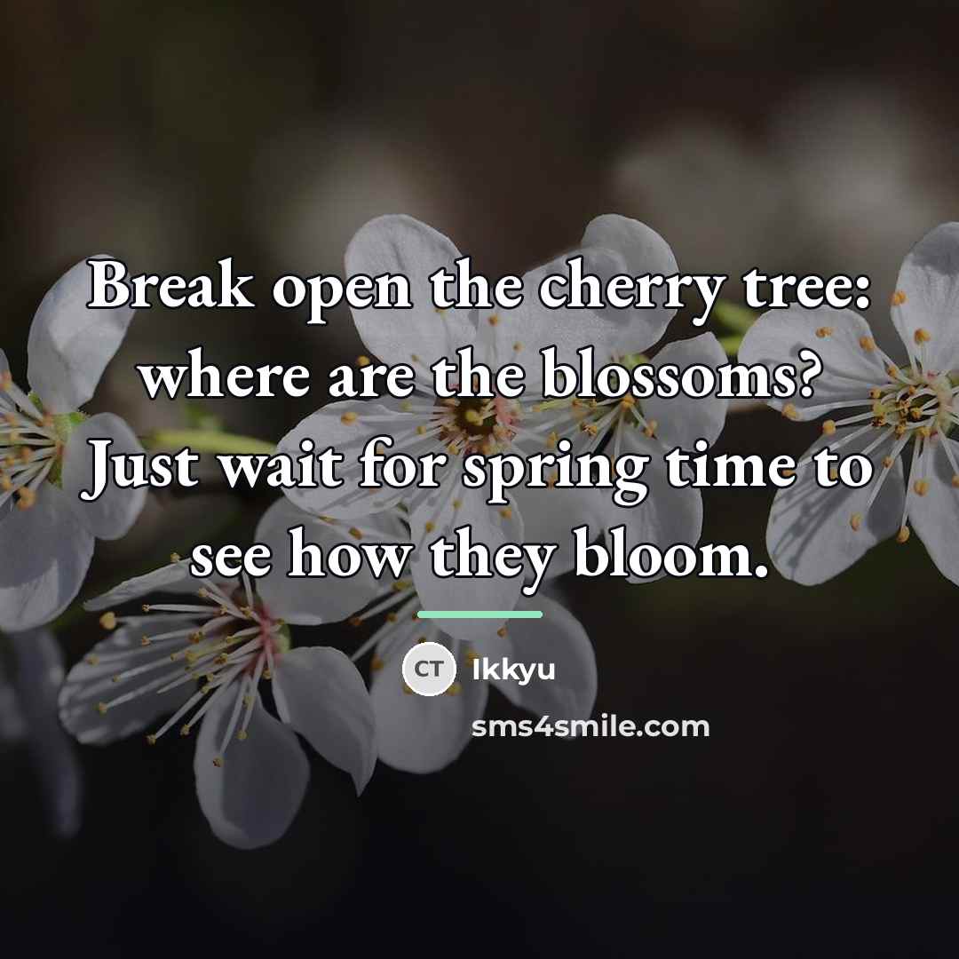 “Break open the cherry tree: where are the blossoms? Just…” quote by Ikkyu