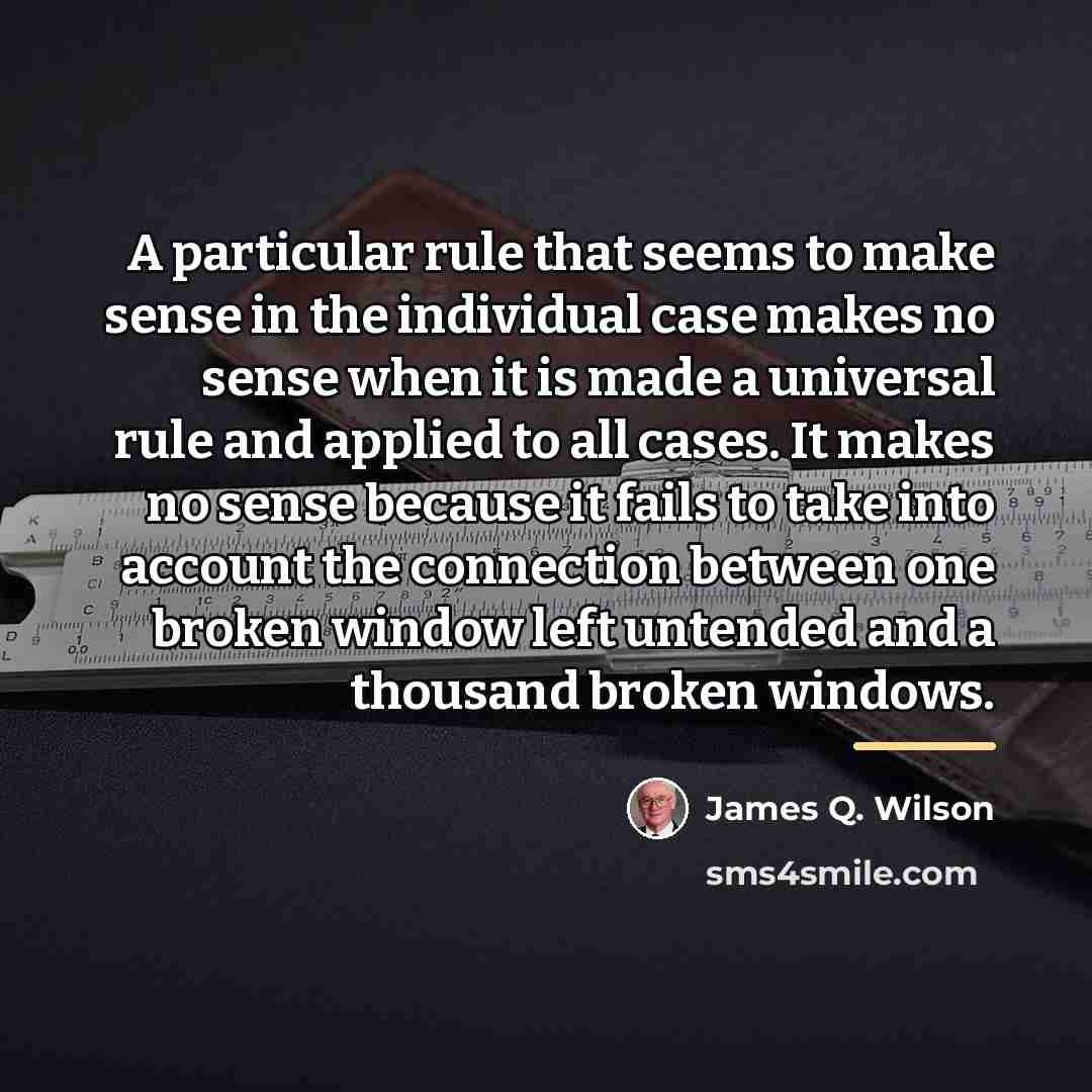 “A particular rule that seems to make sense in the…” quote by James Q. Wilson