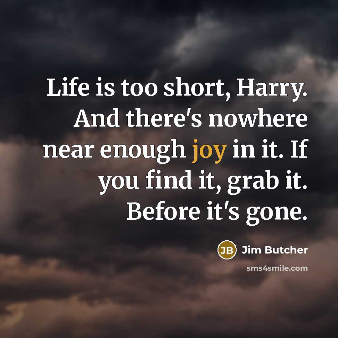 “Life is too short, Harry. And there's nowhere near enough…” quote by Jim Butcher