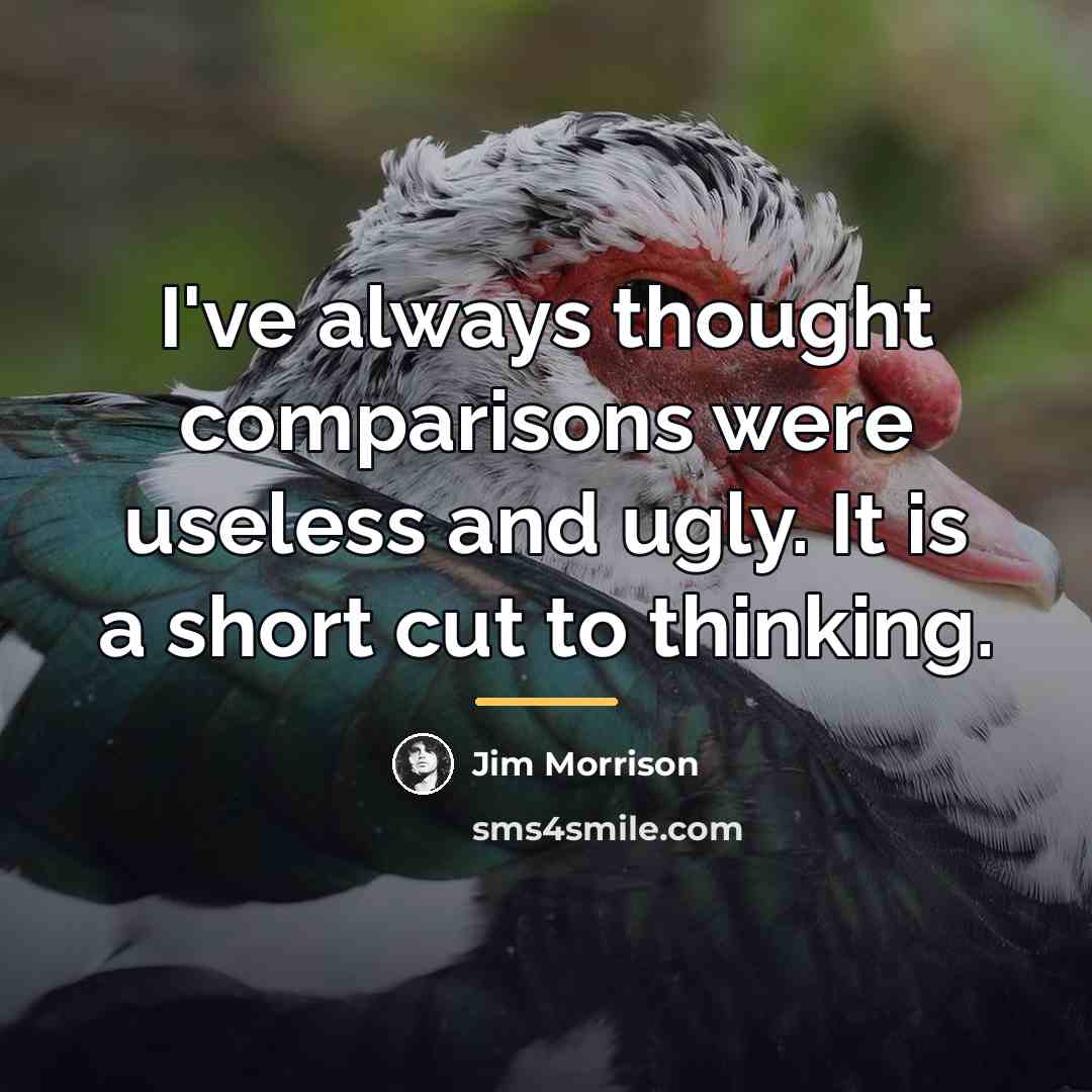 “I've always thought comparisons were useless and ugly. It is…” quote by Jim Morrison