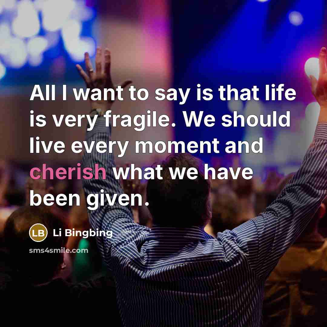 “All I want to say is that life is very…” quote by Li Bingbing