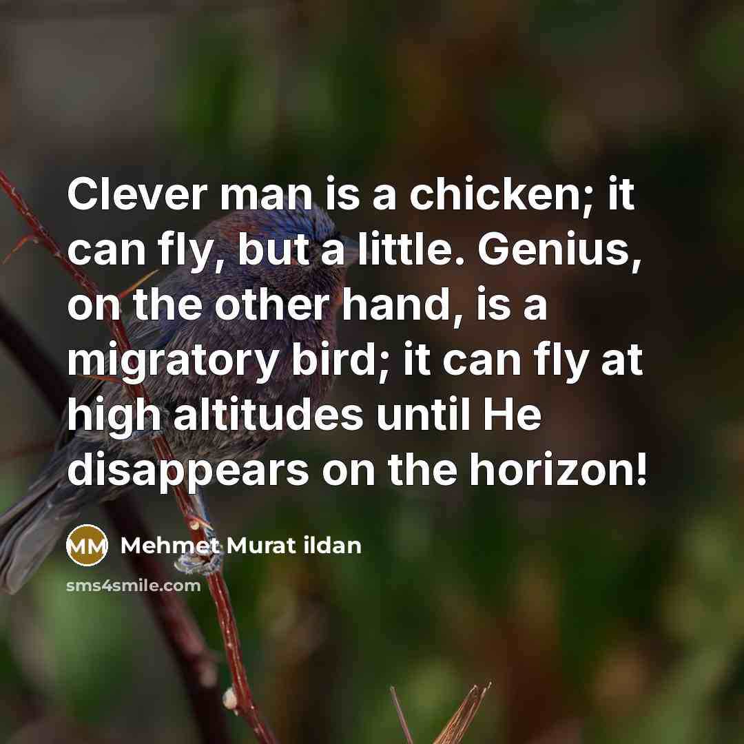 “Clever man is a chicken; it can fly, but a…” quote by Mehmet Murat Ildan