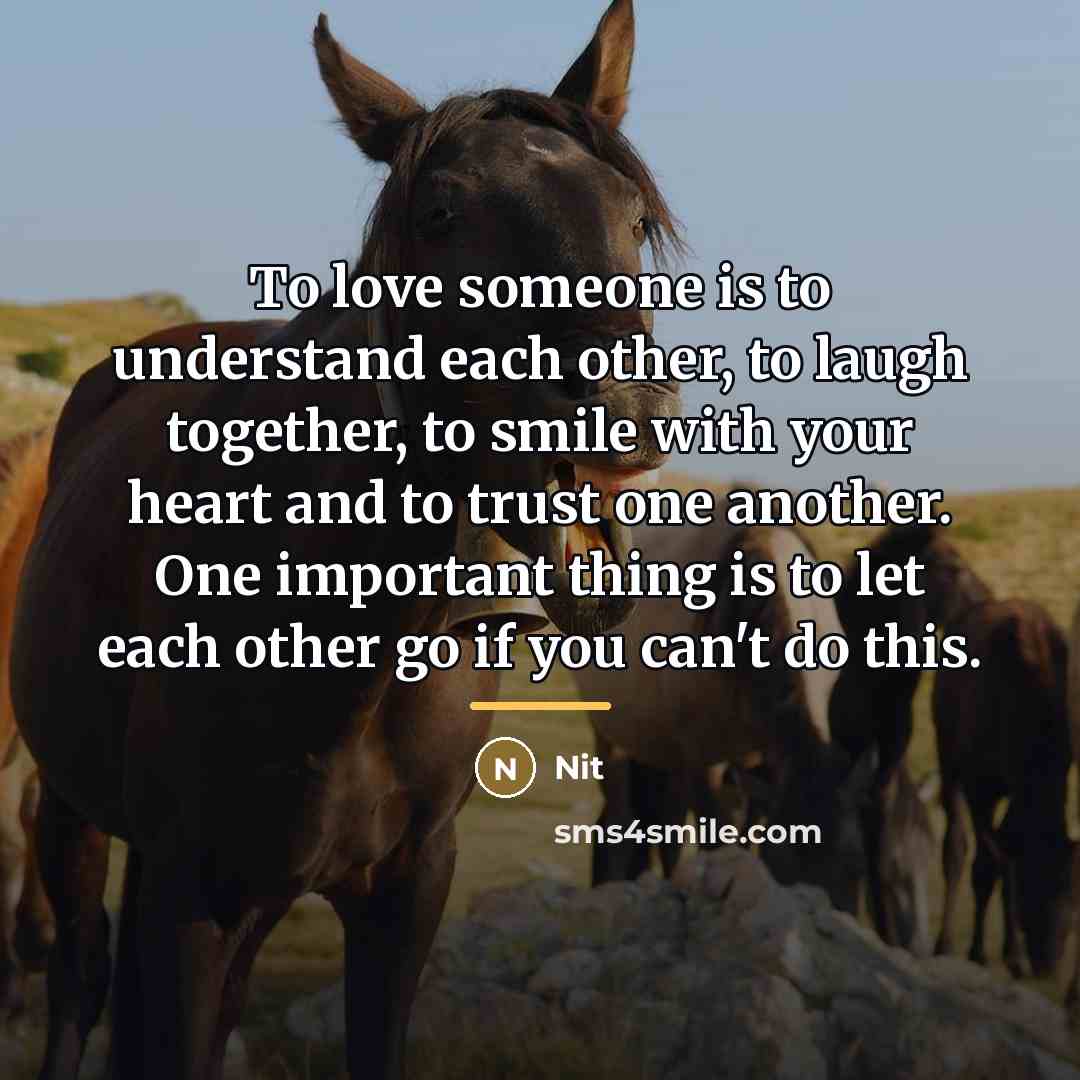 “To love someone is to understand each other, to laugh…” quote by Nit
