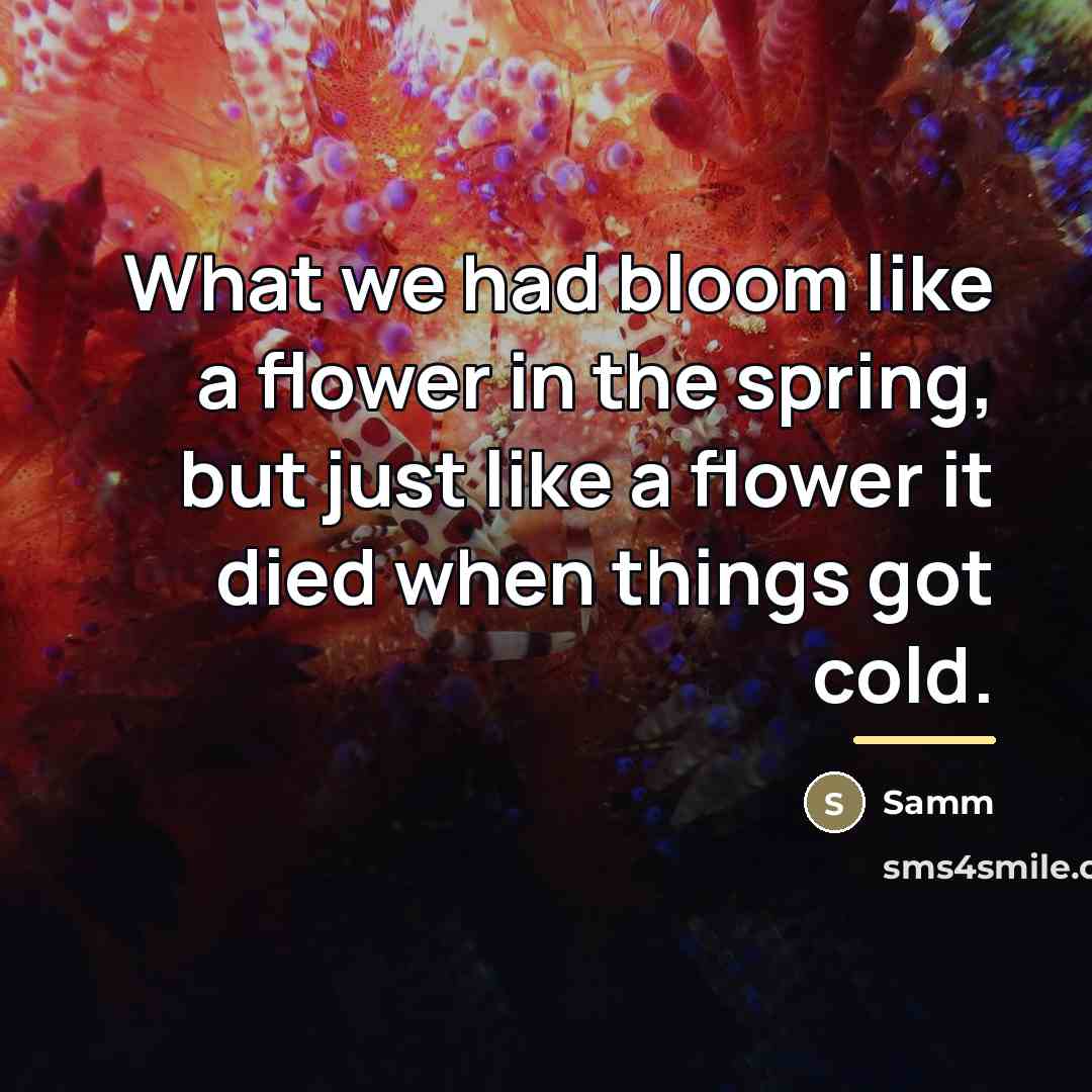 “What we had bloom like a flower in the spring,…” quote by Samm