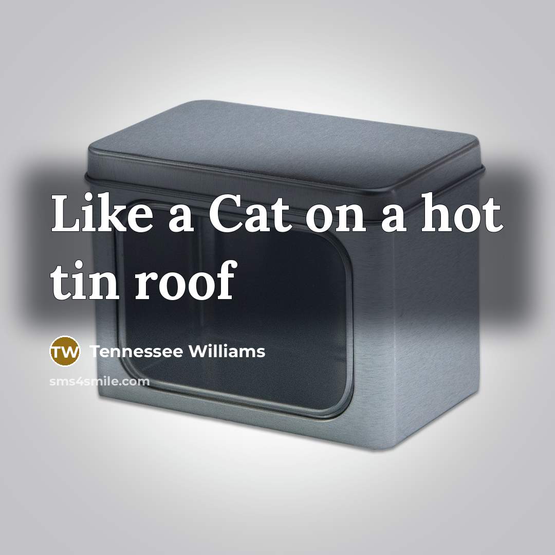 “Like a Cat on a hot tin roof…” quote by Tennessee Williams
