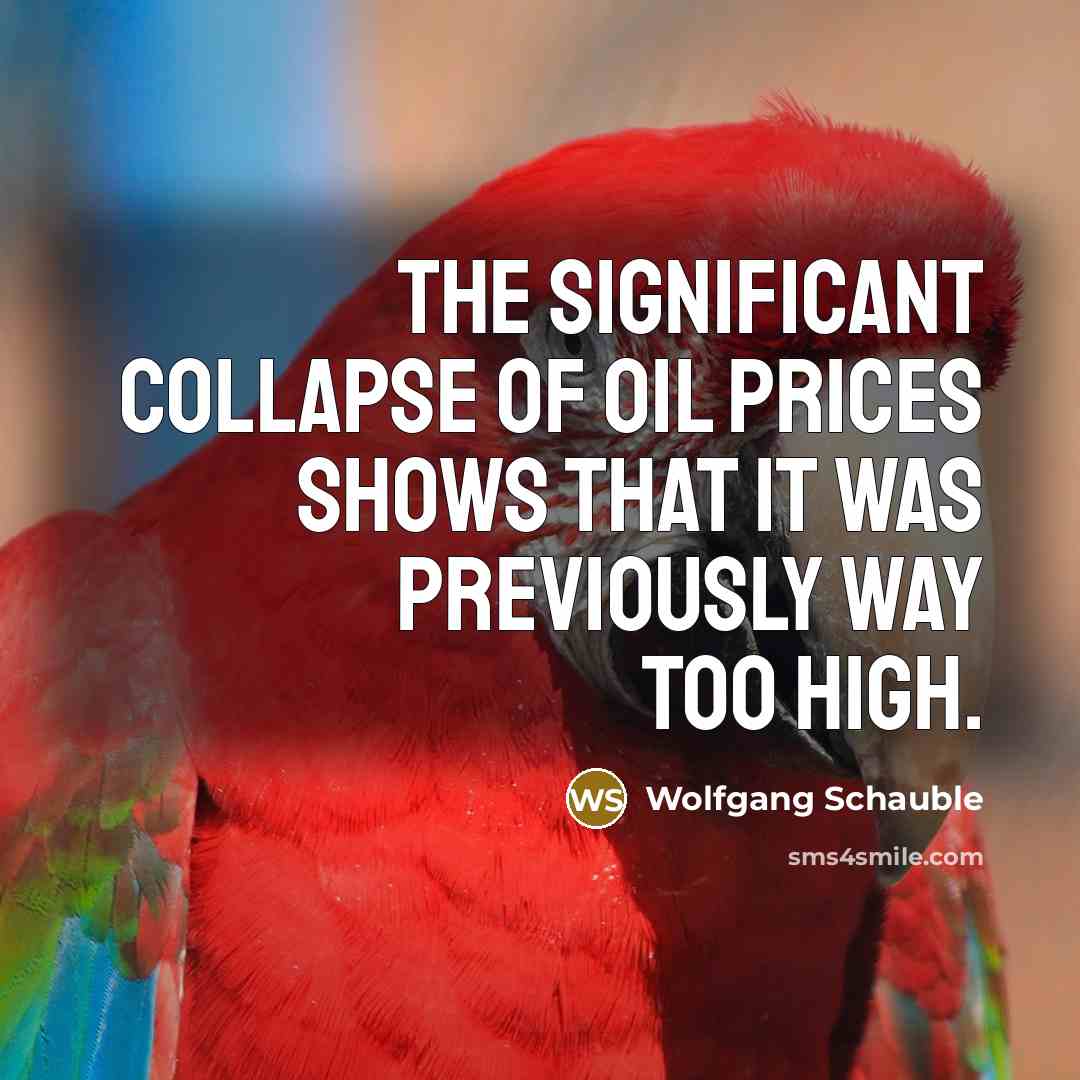 “The significant collapse of oil prices shows that it was previously way too high.” quote by Wolfgang Schauble