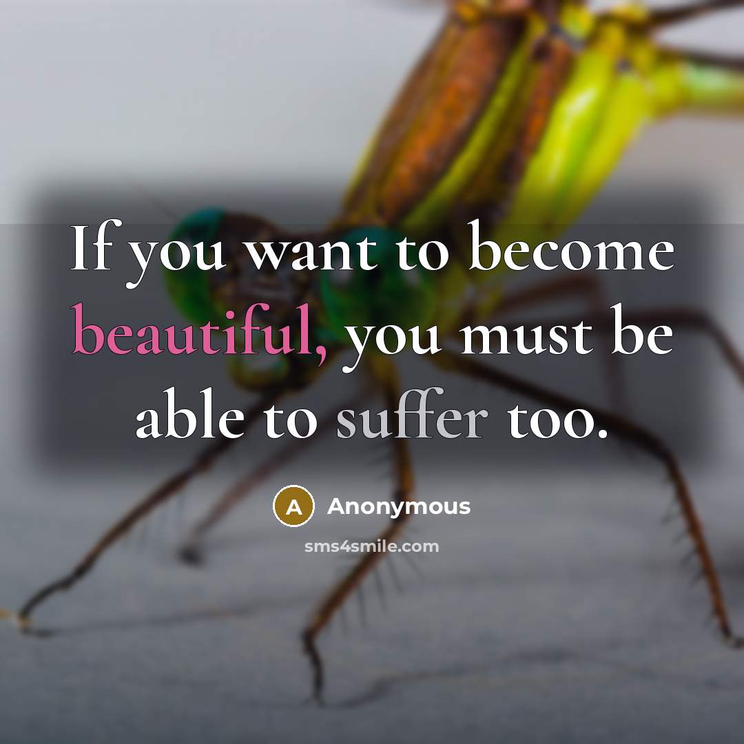 “If you want to become beautiful, you must be able…” quote by Anonymous