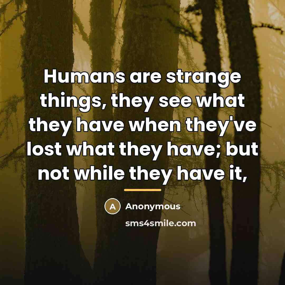 “Humans are strange things, they see what they have when…” quote by Anonymous