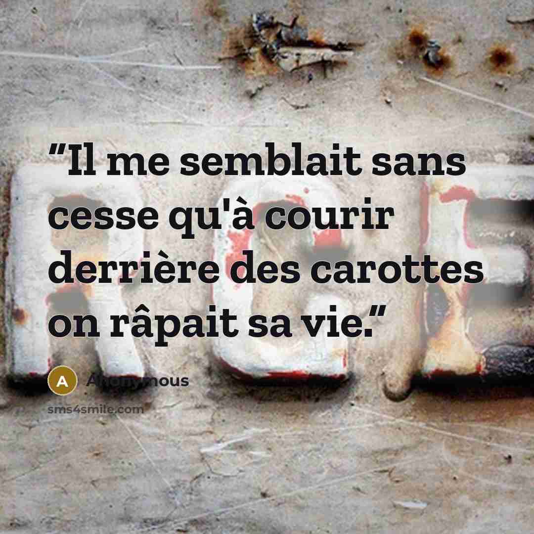 “Il me semblait sans cesse qu'à courir derrière des carottes on râpait sa vie.” quote by Anonymous