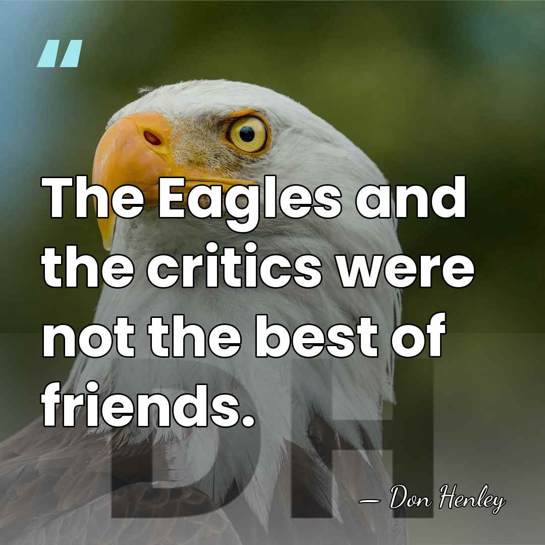 The Eagles and the critics were not the best of friends. - Don Henley