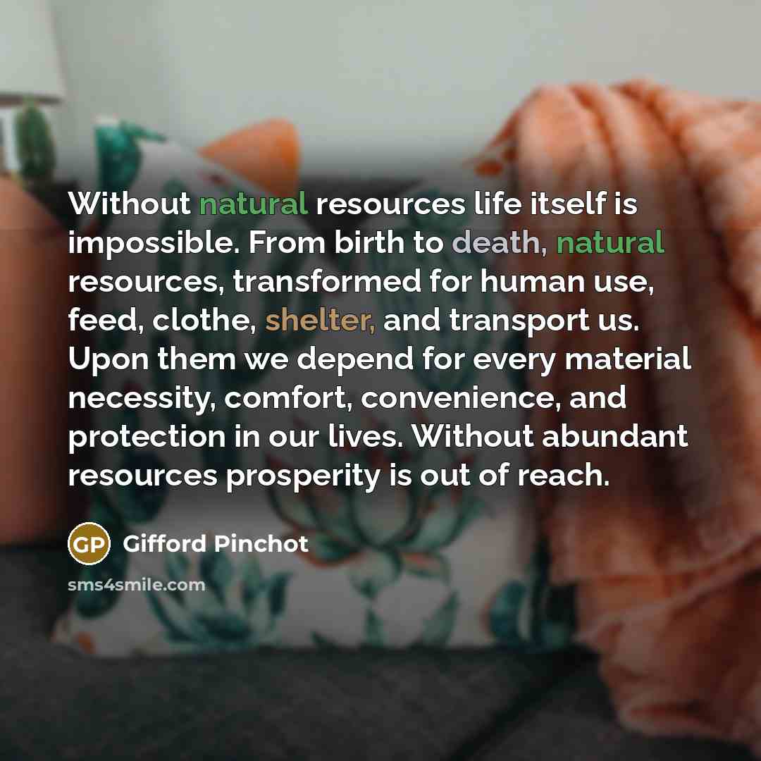 “Without natural resources life itself is impossible. From birth to…” quote by Gifford Pinchot