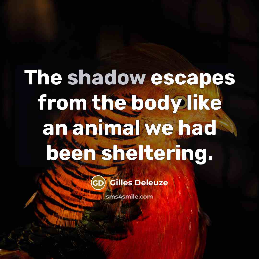“The shadow escapes from the body like an animal we…” quote by Gilles Deleuze