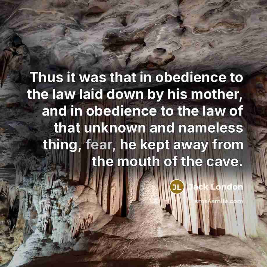 “Thus it was that in obedience to the law laid down by his mother, and in obedience to the law of that unknown and nameless thing, fear, he kept away from the mouth of the cave.” quote by Jack London