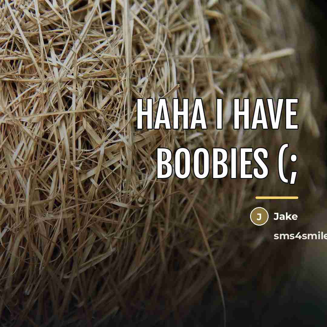 “Haha I have boobies (;…” quote by Jake