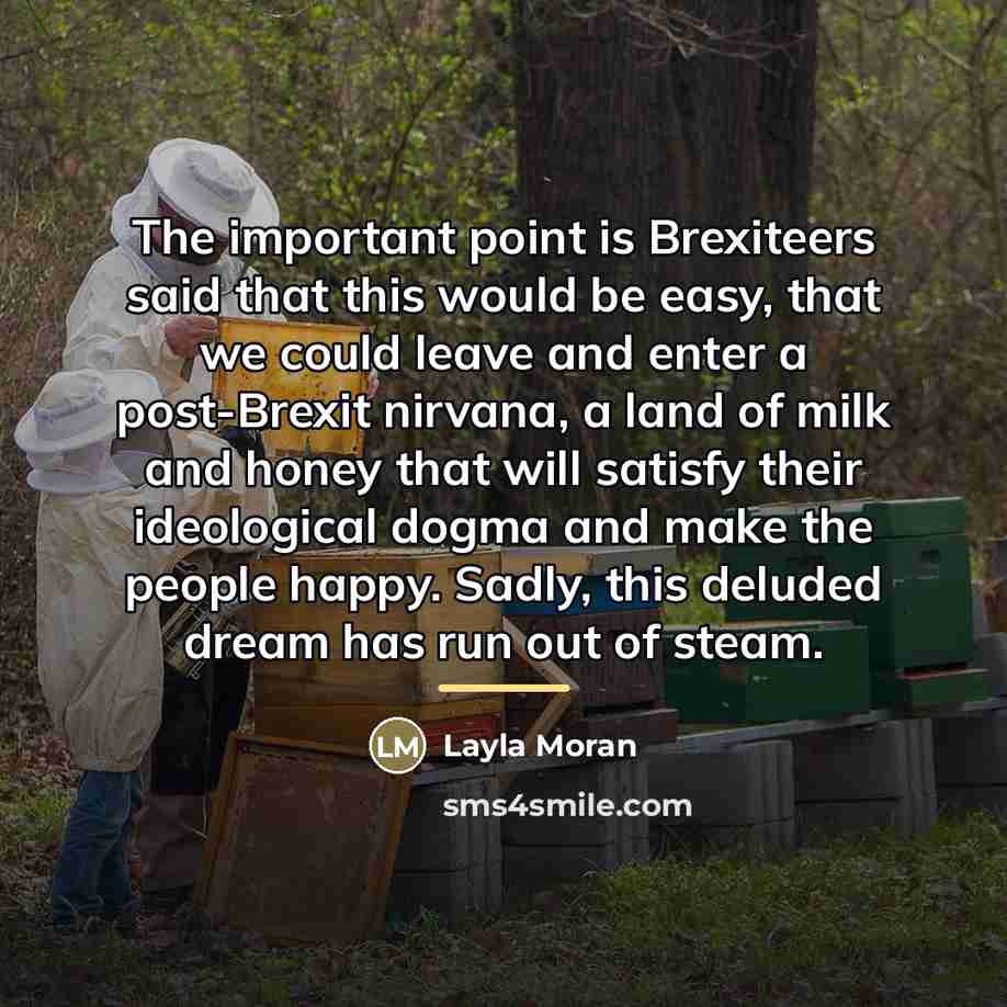 “The important point is Brexiteers said that this would be…” quote by Layla Moran