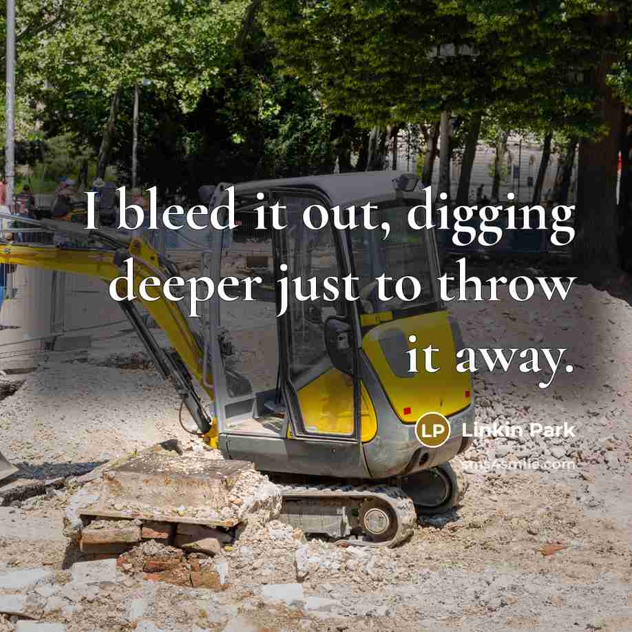 “I bleed it out, digging deeper just to throw it away.” quote by Linkin Park