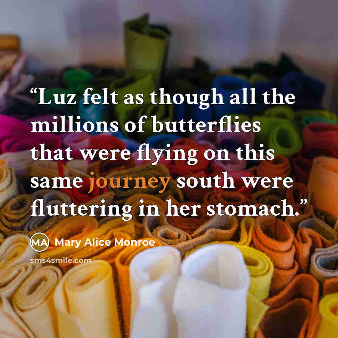 “Luz felt as though all the millions of butterflies that were flying on this same journey south were fluttering in her stomach.” quote by Mary Alice Monroe