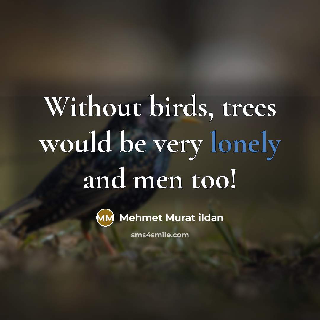 “Without birds, trees would be very lonely and men too!…” quote by Mehmet Murat Ildan