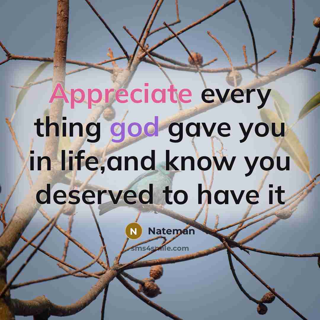 “Appreciate every thing god gave you in life,and know you…” quote by Nateman