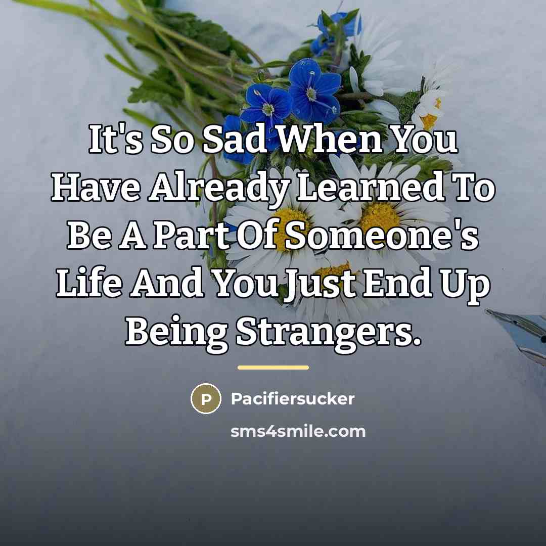 “It's So Sad When You Have Already Learned To Be…” quote by Pacifiersucker