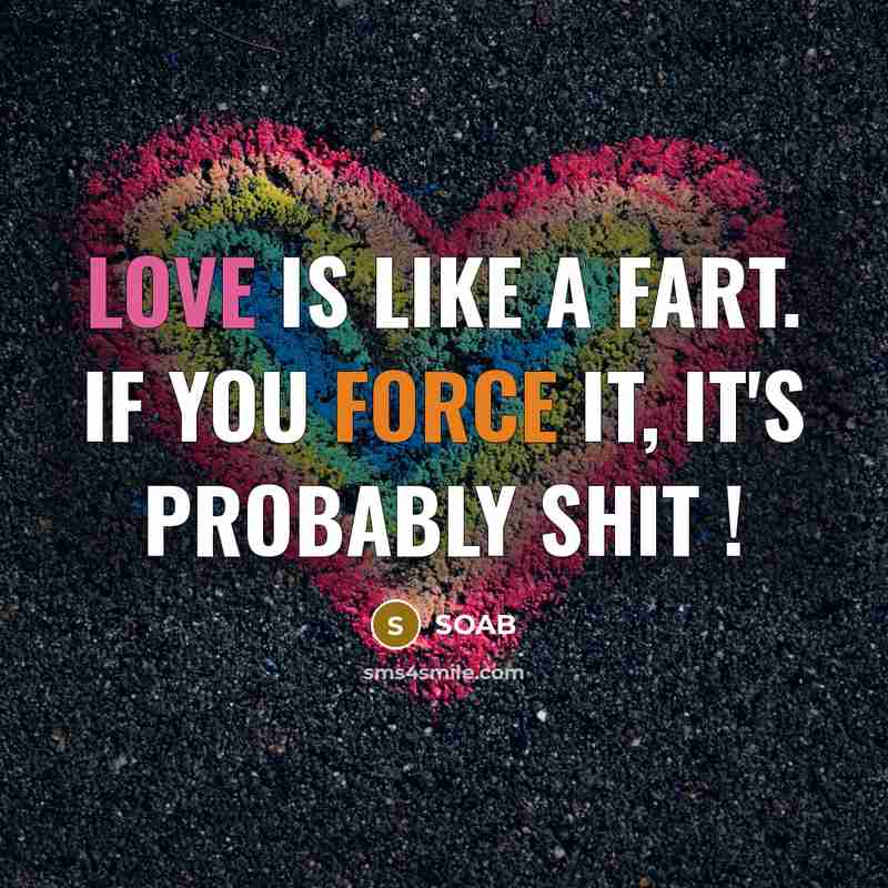 “Love is like a fart. If you force it, it's…” quote by SOAB