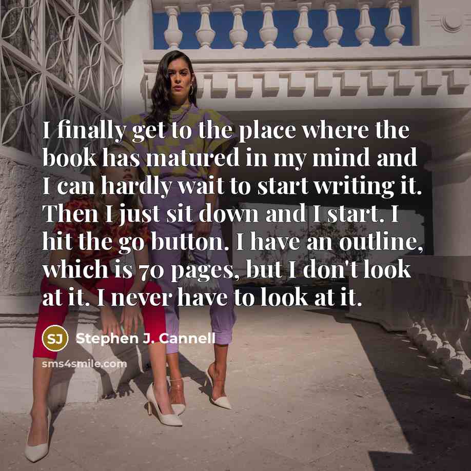 “I finally get to the place where the book has…” quote by Stephen J. Cannell