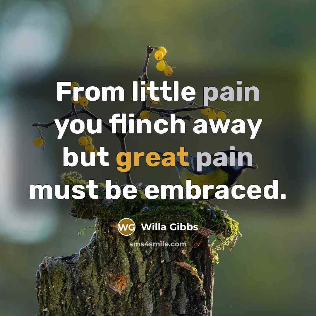 “From little pain you flinch away but great pain must…” quote by Willa Gibbs