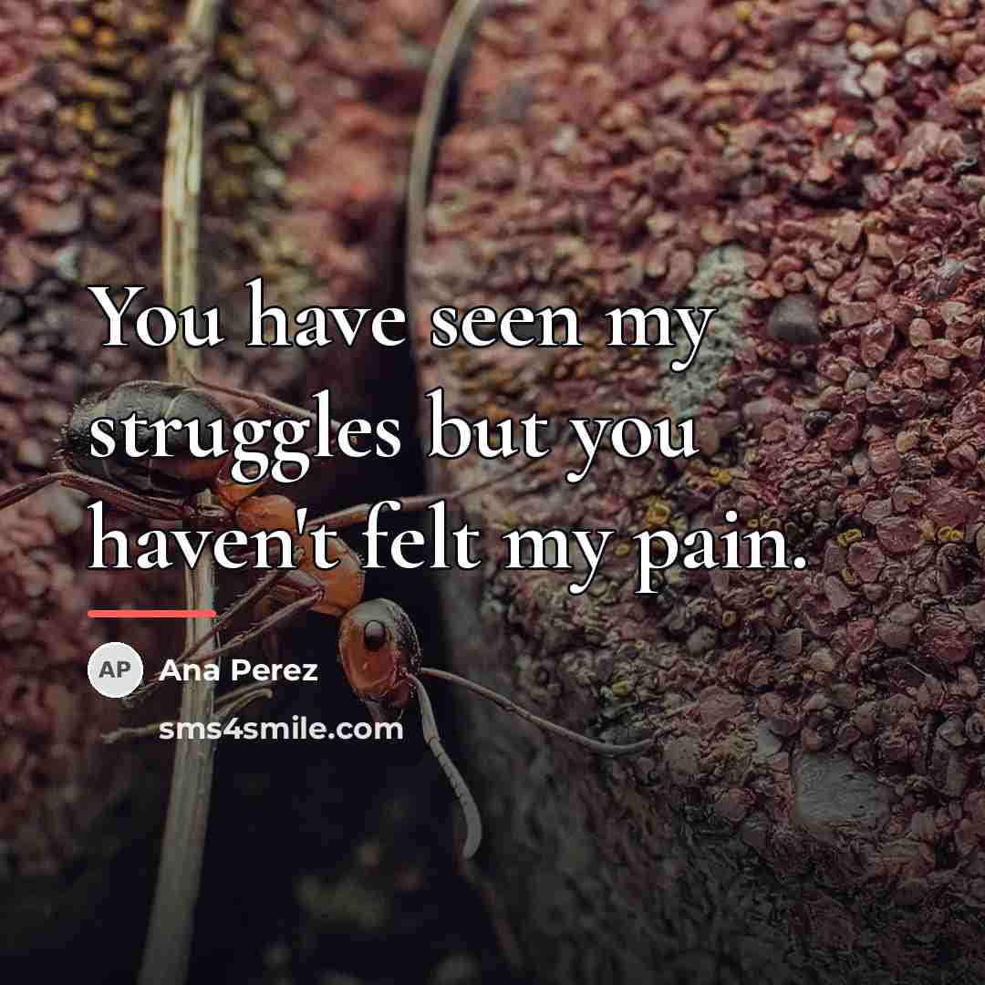 “You have seen my struggles but you haven't felt my…” quote by Ana Perez