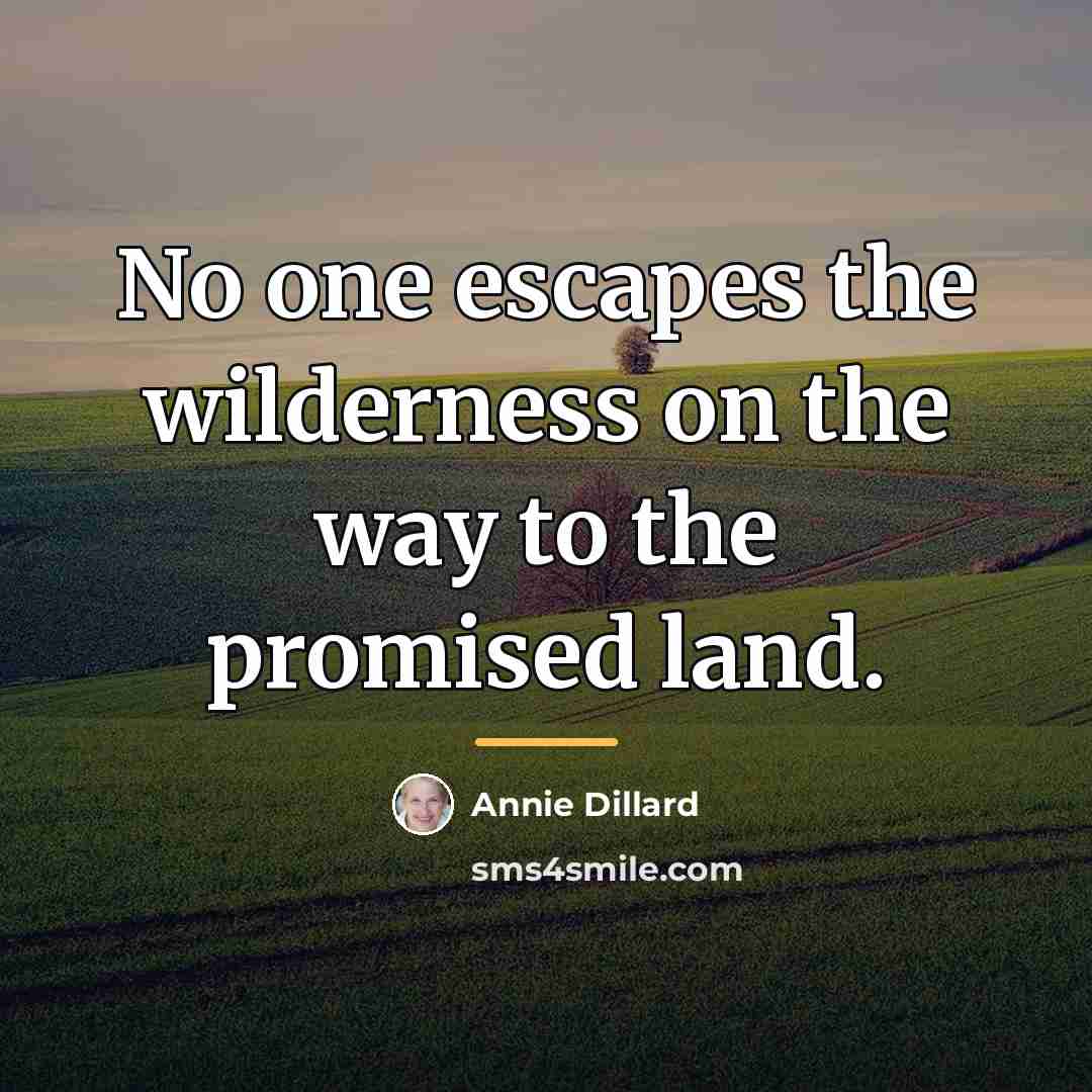 “No one escapes the wilderness on the way to the…” quote by Annie Dillard