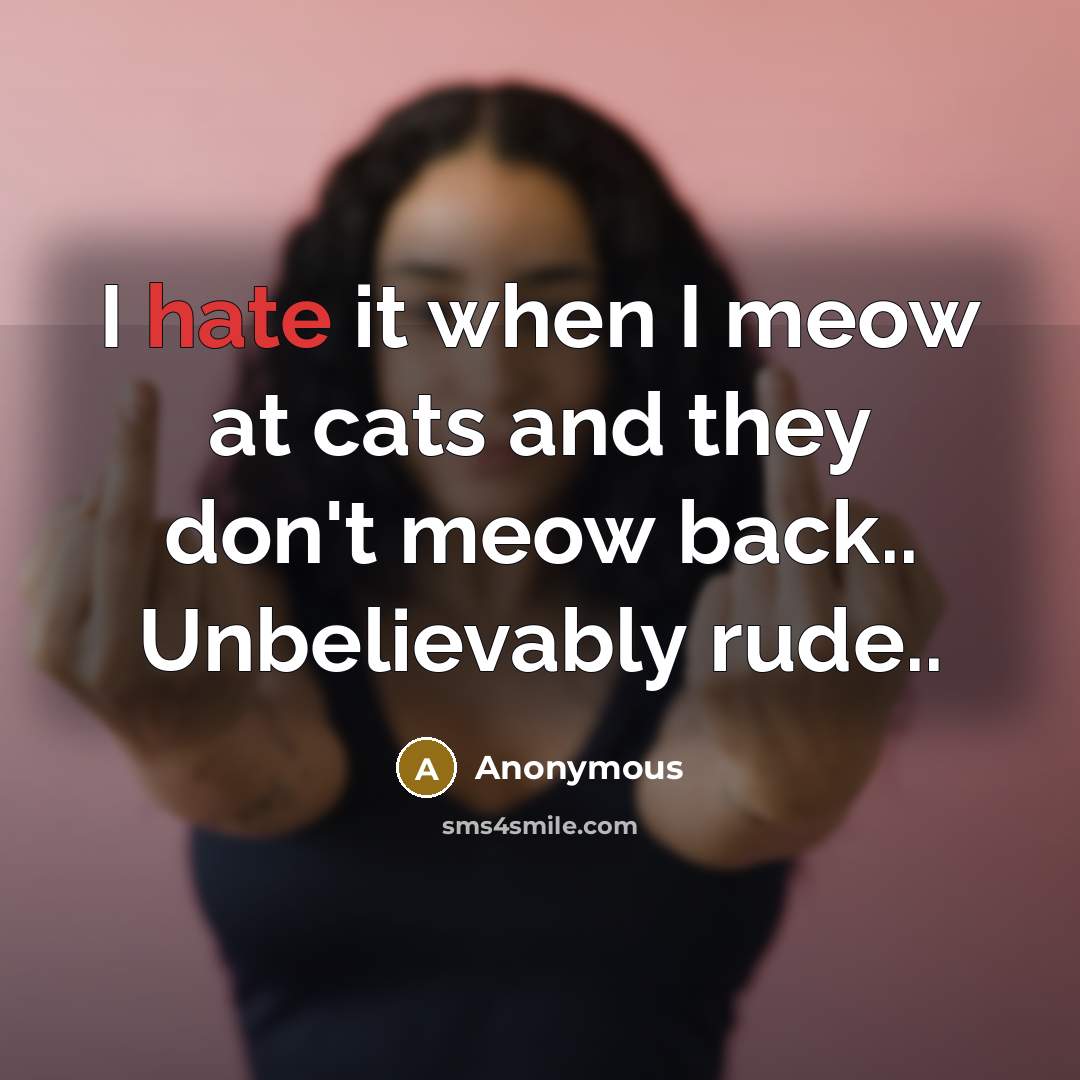 “I hate it when I meow at cats and they don't meow back.. Unbelievably rude..” quote by Anonymous
