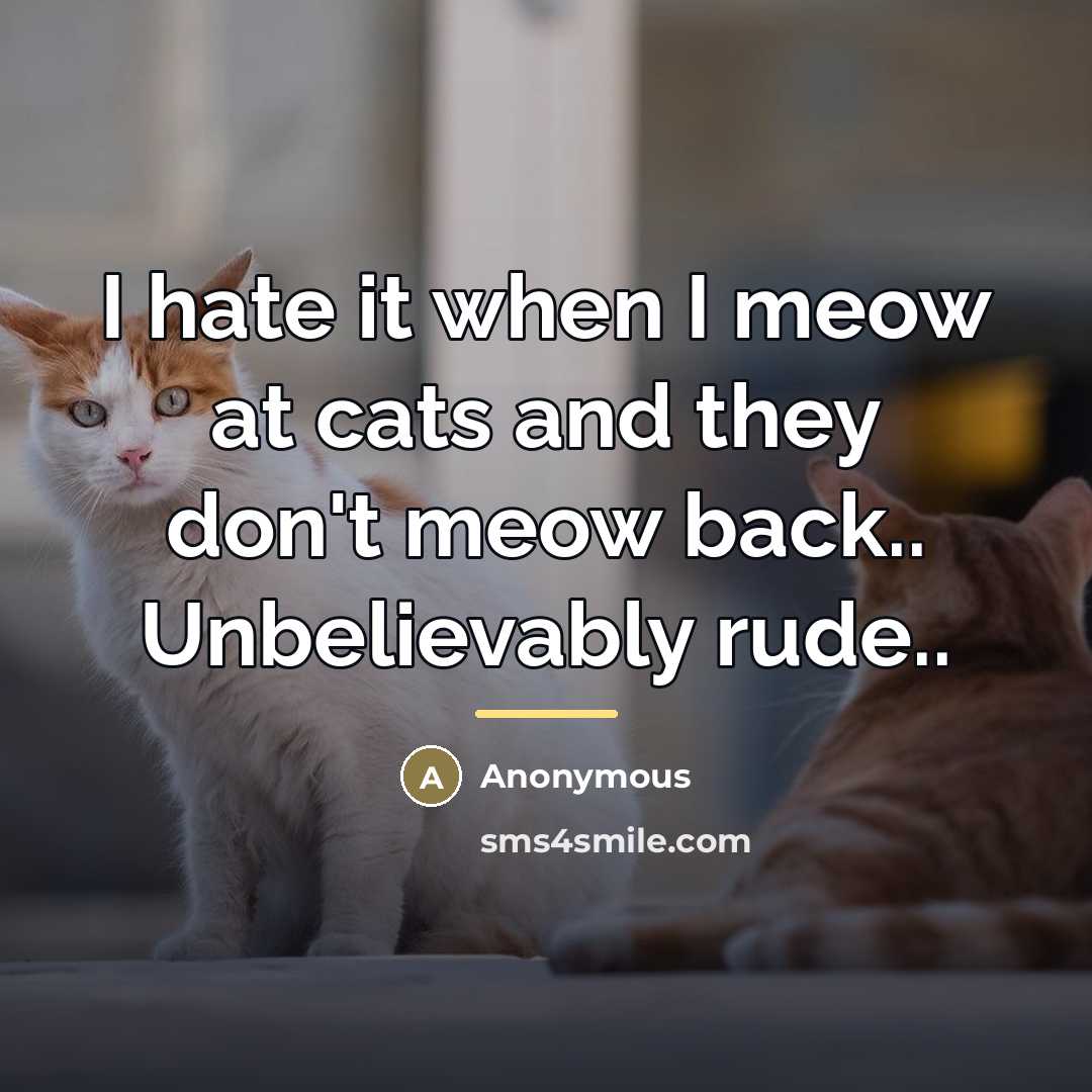 “I hate it when I meow at cats and they…” quote by Anonymous