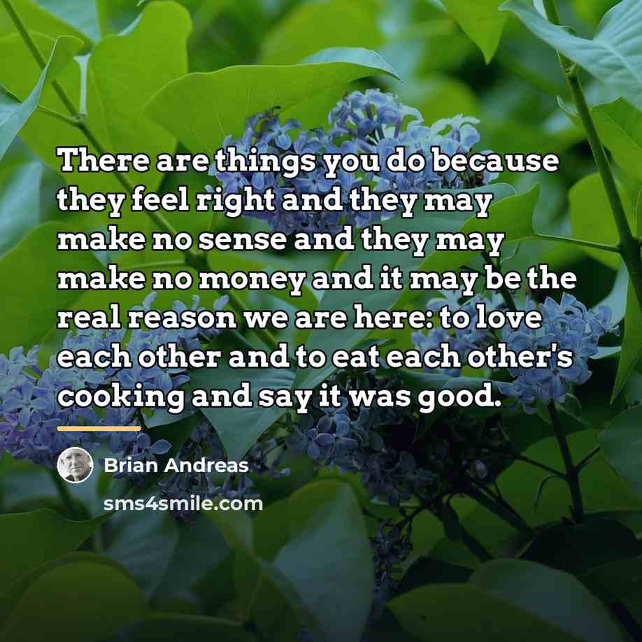 “There are things you do because they feel right and…” quote by Brian Andreas