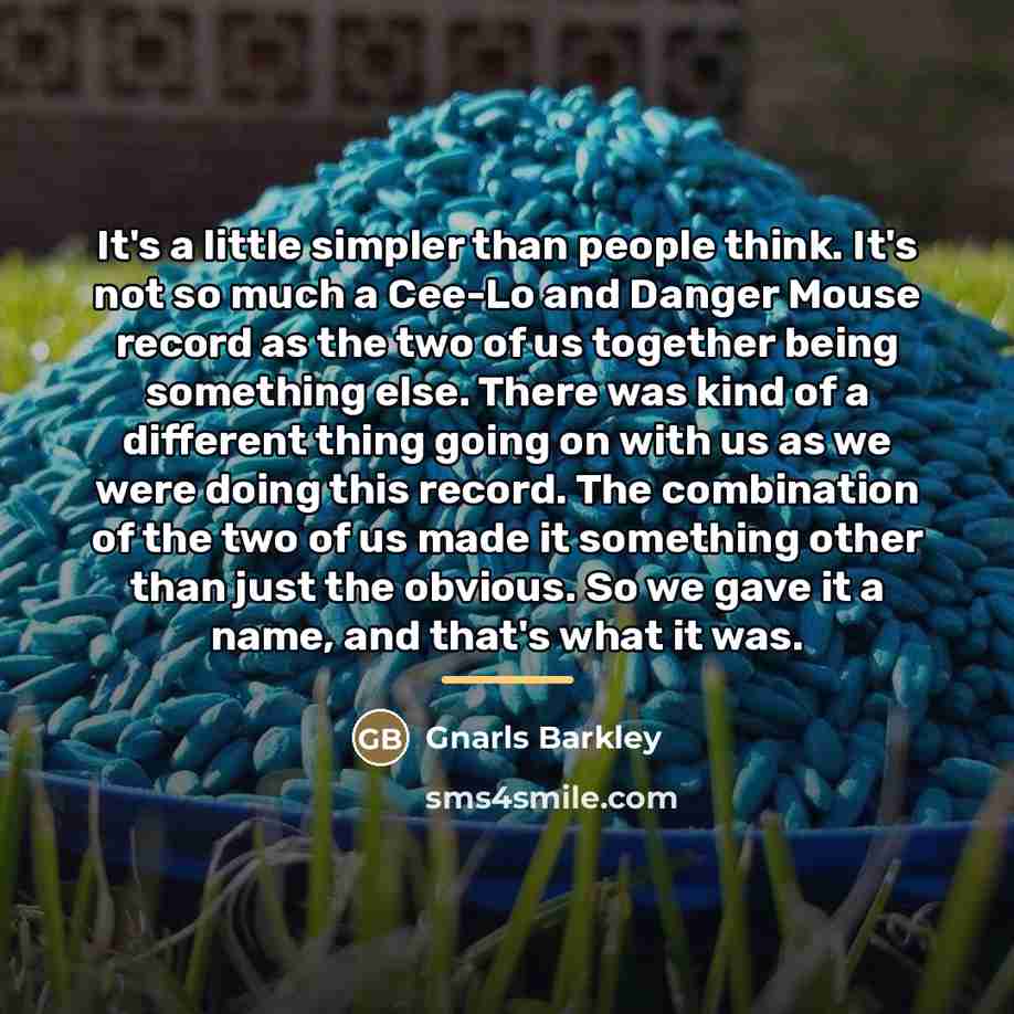 “It's a little simpler than people think. It's not so…” quote by Gnarls Barkley