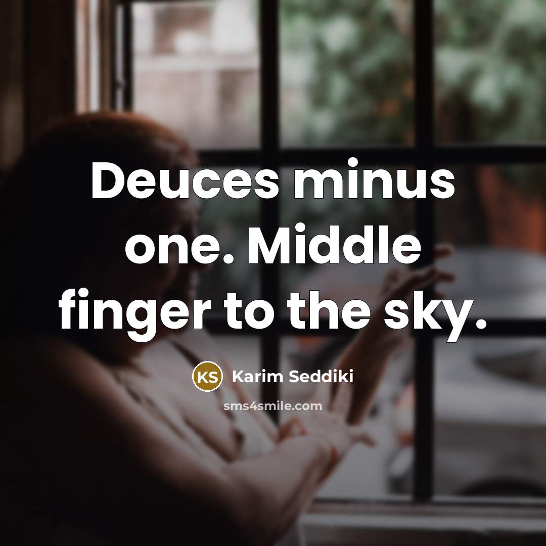 “Deuces minus one. Middle finger to the sky.” quote by Karim Seddiki