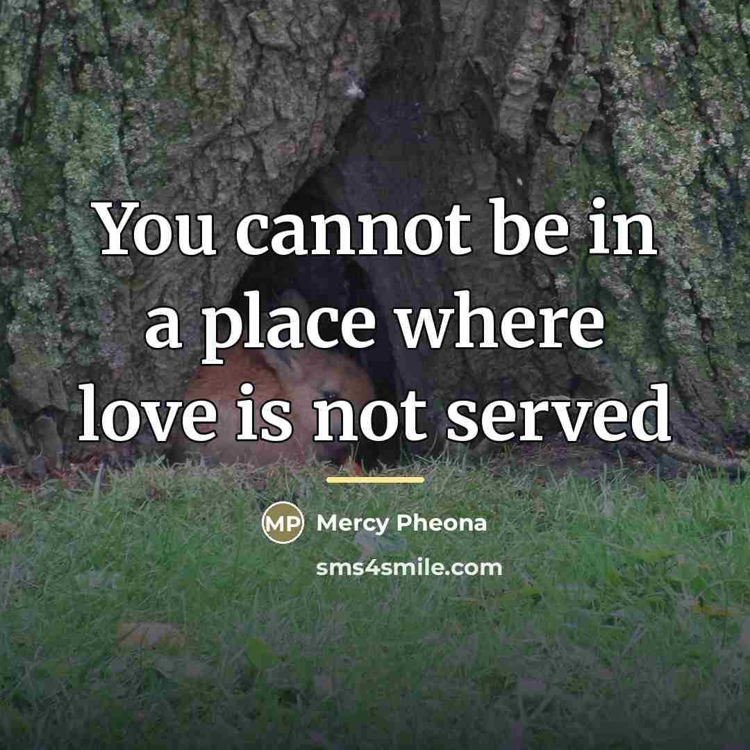 “You cannot be in a place where love is not…” quote by Mercy Pheona