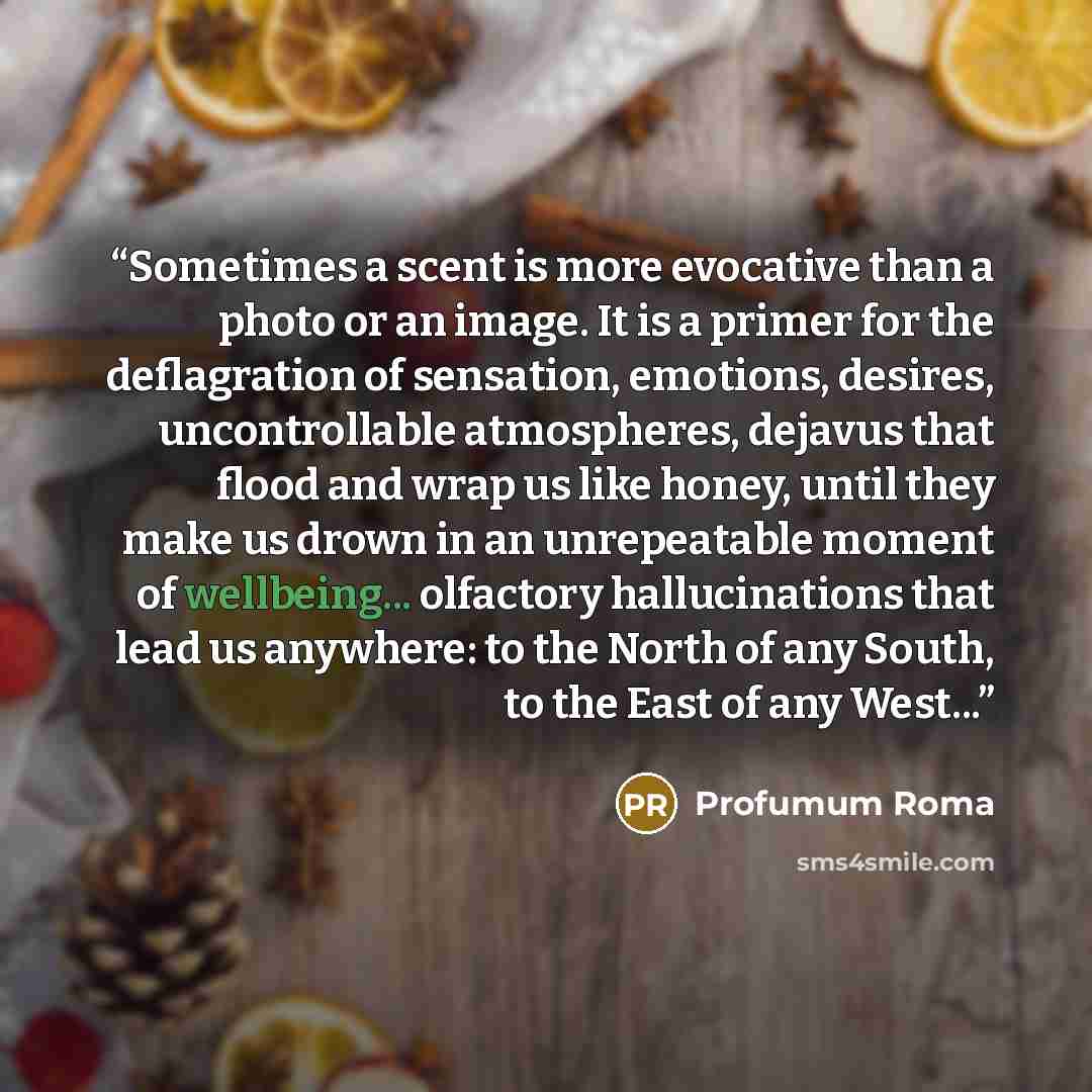 “Sometimes a scent is more evocative than a photo or an image. It is a primer for the deflagration of sensation, emotions, desires, uncontrollable atmospheres, dejavus that flood and wrap us like honey, until they make us drown in an unrepeatable moment of wellbeing... olfactory hallucinations that…” quote by Profumum Roma