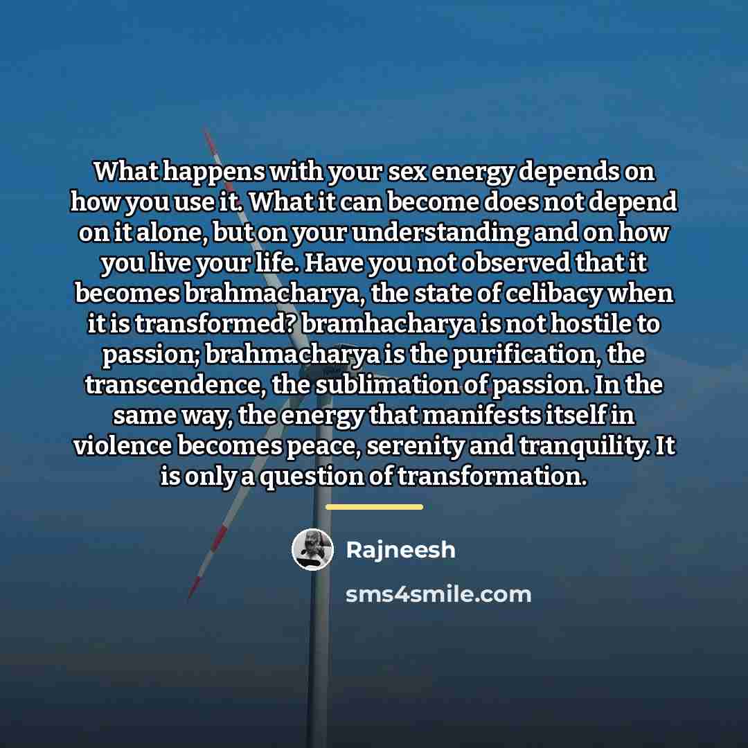“What happens with your sex energy depends on how you…” quote by Rajneesh