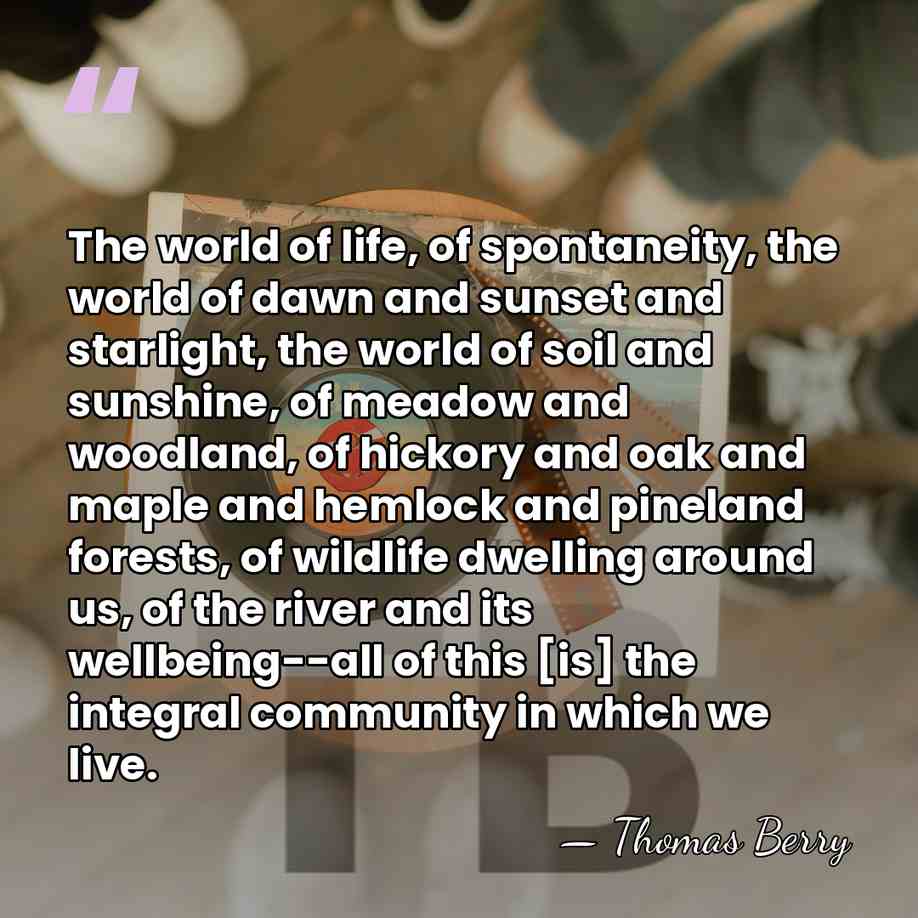 The world of life, of spontaneity, the world of dawn and sunset&hellip; - Thomas Berry