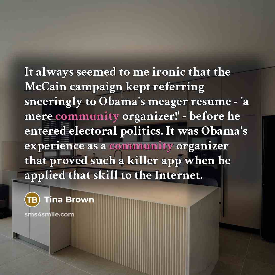 “It always seemed to me ironic that the McCain campaign…” quote by Tina Brown