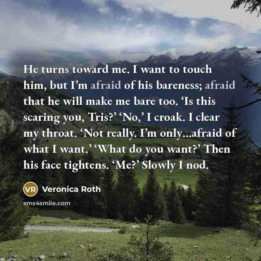 “He turns toward me. I want to touch him, but…” quote by Veronica Roth