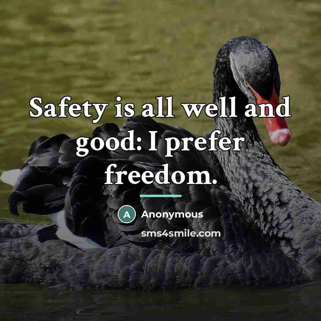 “Safety is all well and good: I prefer freedom.…” quote by Anonymous