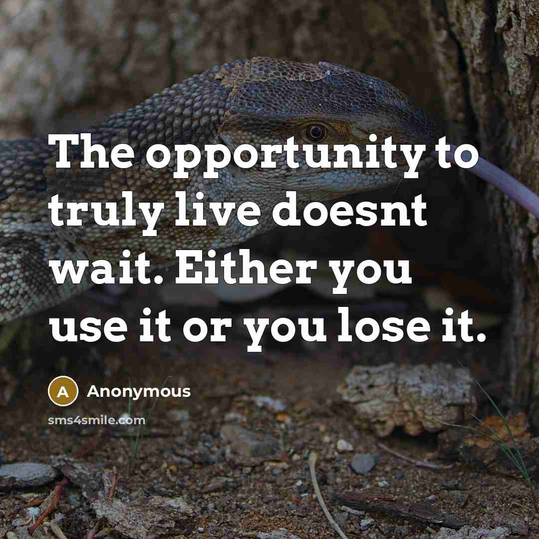“The opportunity to truly live doesnt wait. Either you use…” quote by Anonymous