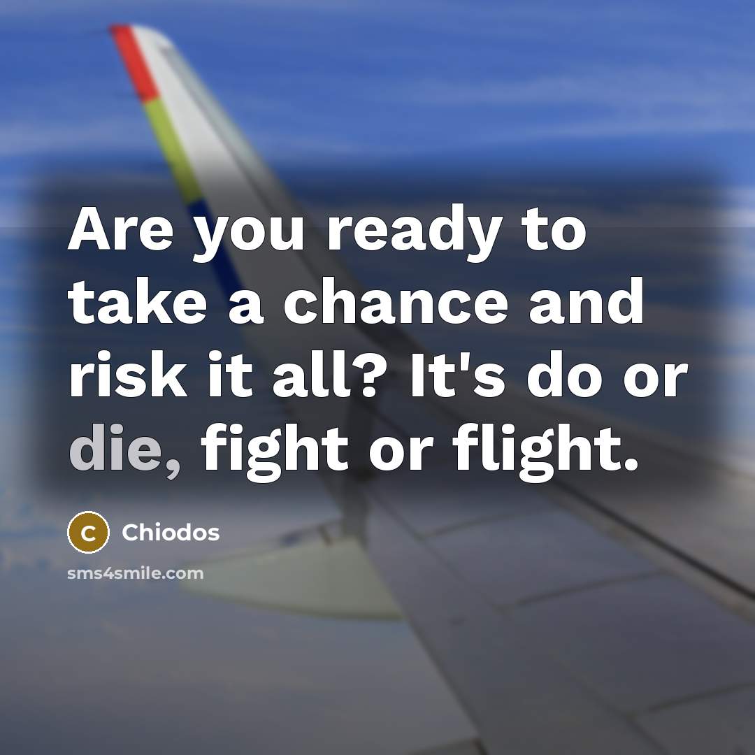 “Are you ready to take a chance and risk it all? It's do or die, fight or flight.” quote by Chiodos
